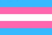 Transgender flag