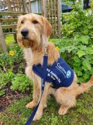 Luna portrait