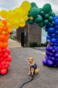 balloons sept 22