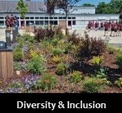 Diversity and inclusion