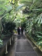 Image (7)