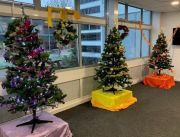 Trees 3
