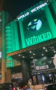 Wicked 5