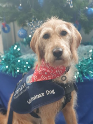 news-from-elsa-december-2025